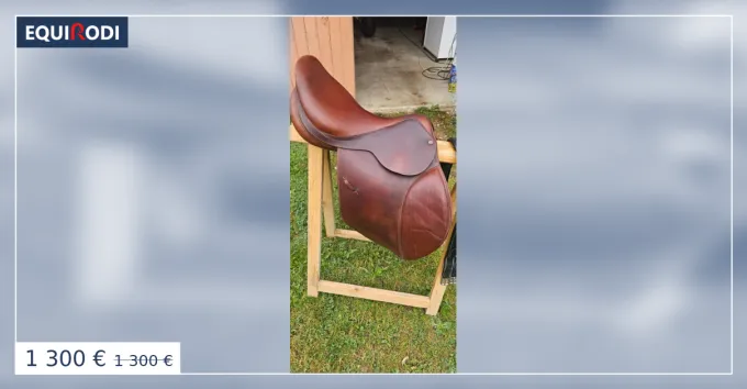 Selle forestier mixte Must-Have