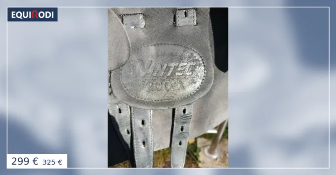 Selle wintec 2000 17.5 Offre Spciale