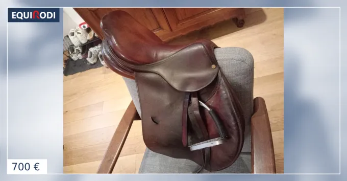 Selle Bruno Delgrange 17,5 Acheter Direct