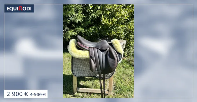 Prix Promo Selle Forestier 17 pouces (boeckelo)