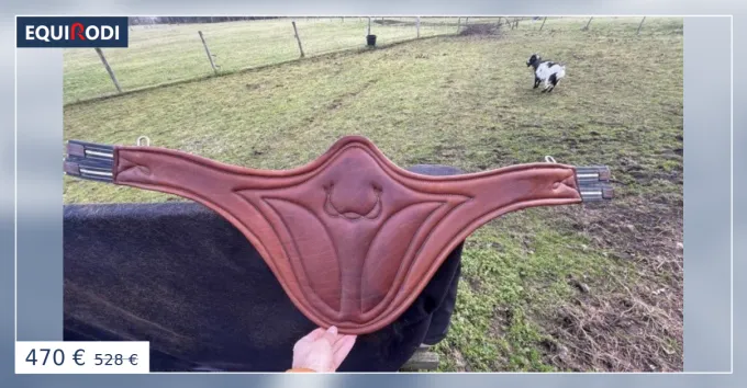 Prix Bas Sangle Antares