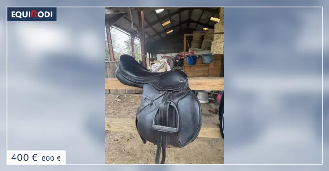 Selle ric thomas lugano Dernire Chance
