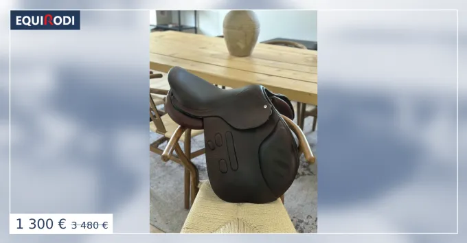 Selle GBS anne 2020 17 pouces Populaire