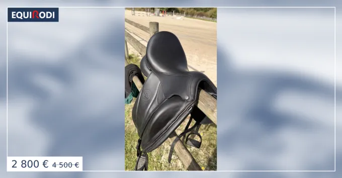 Selle dressage Forestier modele Aachen Seulement Aujourdhui