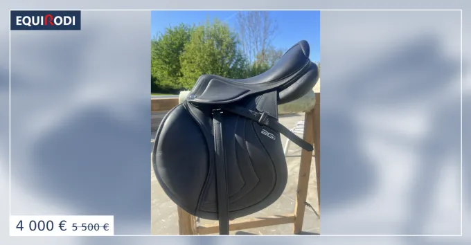 Super Prix Selle CWD mademoiselle noire