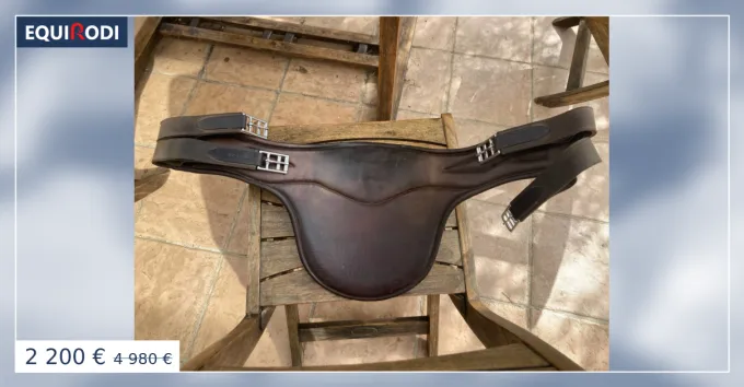 Offre Du Jour Selle CWD 2GS taille 17,5