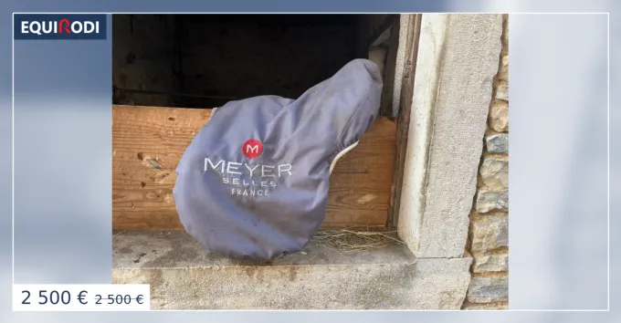 Selle Meyer 17,5 bon tat Populaire