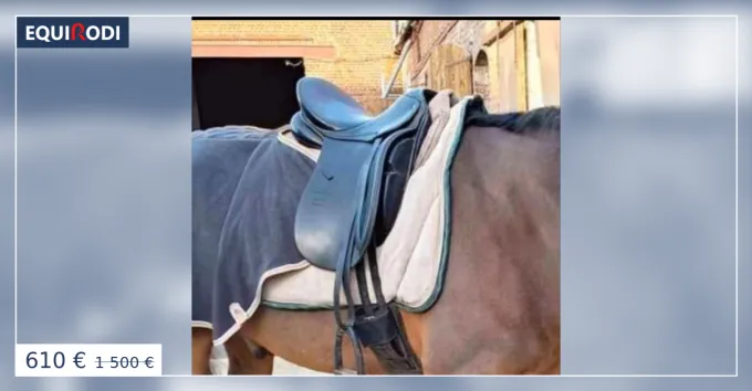 Nouvel Arrivage Selle dressage stubben 17"
