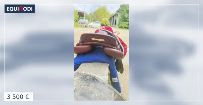 Selle CWD Meilleur Choix