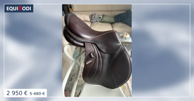 Vend selle Cwd 2 GS mademoiselle comme neuf Livraison Express