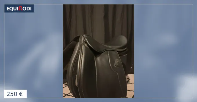 Selle dquitation + trivires Seulement Aujourdhui