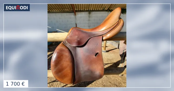 Nouvelle Collection Selle Antars 17"