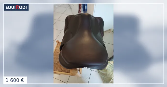 Vends selle d obstacle Achat Immdiat
