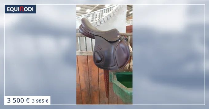 Acheter Direct Selle Erreplus Eventing Mono (EM)