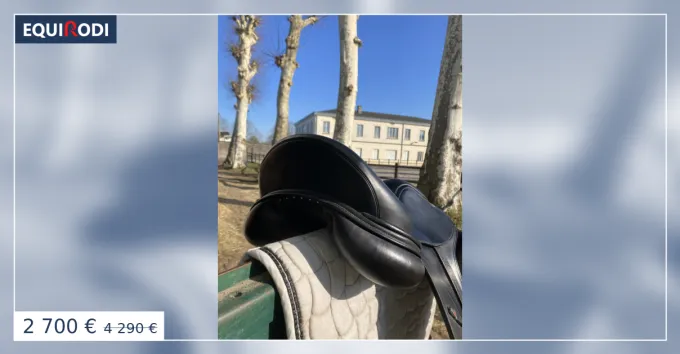 Selle dressage Equipe Dernier Modle