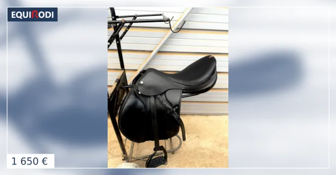 Affaire Saisir Selle Equipe 17,5