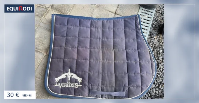 Tapis veredus Expdi Aujourdhui