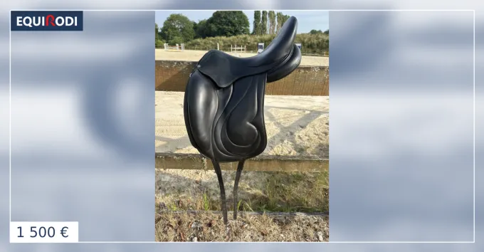 Prix Rduit Selle Antares Cadence 17