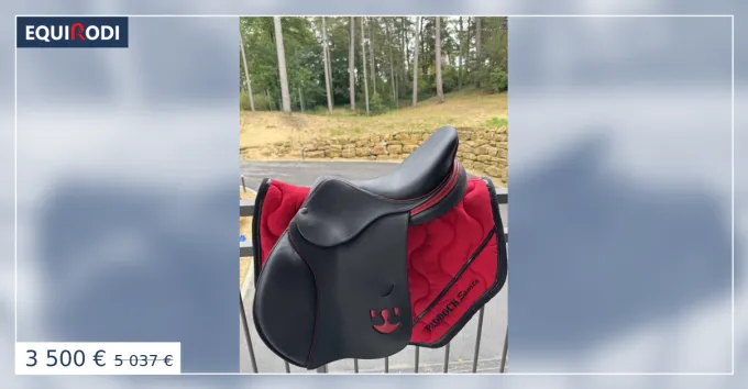 Selle DELGRANGE VIRTUOSE 16.5 Marque