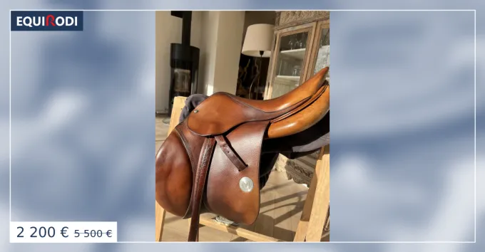 Selle Meyer 16,5 Haute Qualit