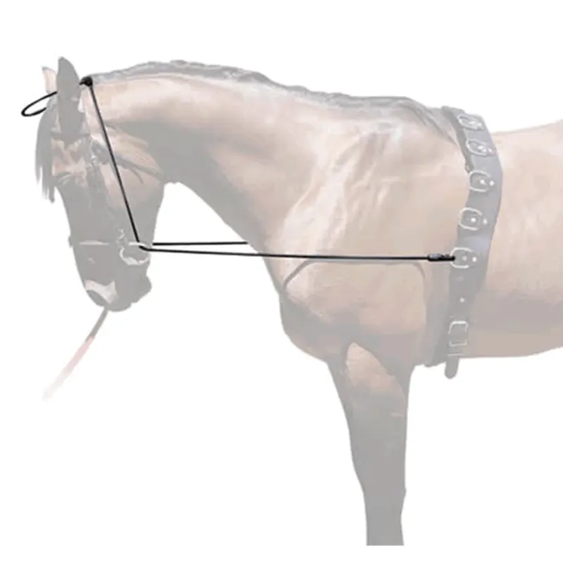 Accesorio ecuestre Chambn HH Elstico Hispano Hpica Prix Choc