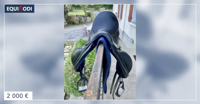 Selle de dressage CWD Meilleure Vente