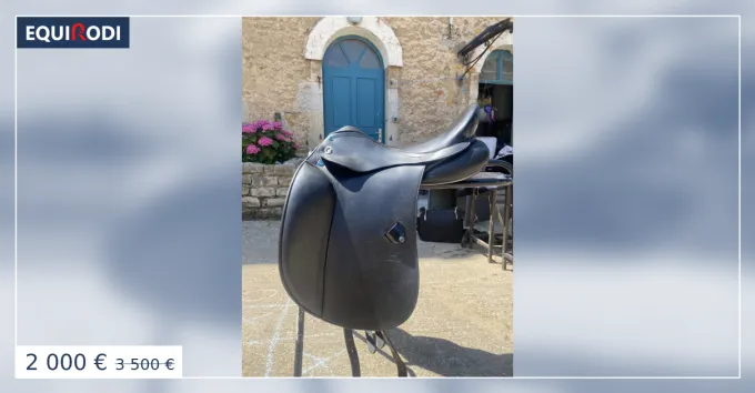 Dernier Modle Selle Stubben Virginia 17,5