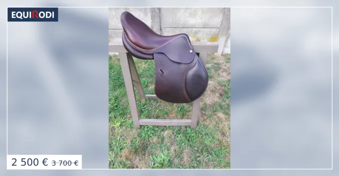 Bon Plan Selle Jump'in 17'5 de 2021