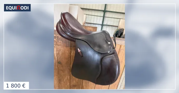 Selle Equipe taille 15.5 Meilleur Choix