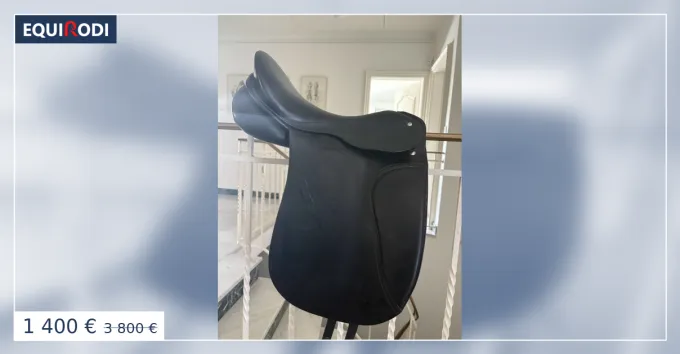 Commande En Gros Selle dressage Passier
