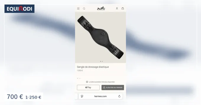 Sangle dressage Hrmes Prix Promo