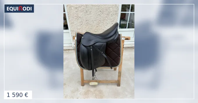 Selle dressage forestier Commander Maintenant