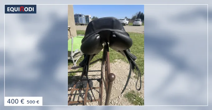 Selle privilge quitation poney mixte Promotion Saisonnire