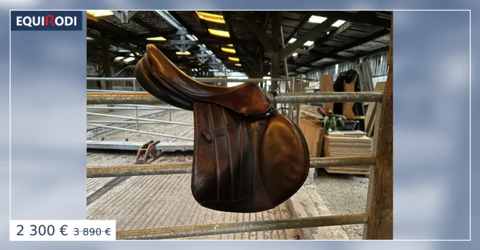 Meilleur Choix Selle Forestier SOUL Pro 18"/3AA