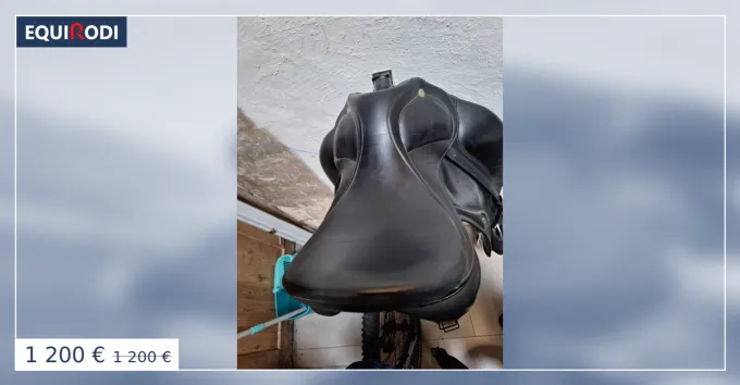 Marque Selle de dressage