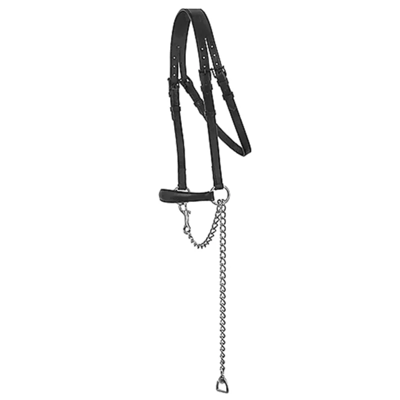 Soldes Cabezada Presentacin Hh Eco Cuero Con Cadena Sin Frontalera - Negro/dorado