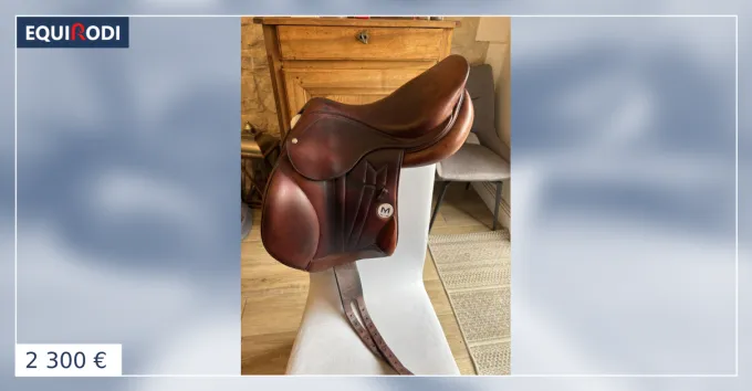 Selle Meyer de 2023. Taille de sige : 17 Bon March