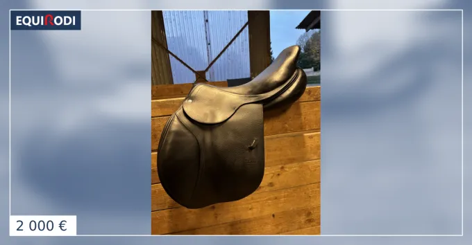Selle CWD 17,5 Commande En Gros