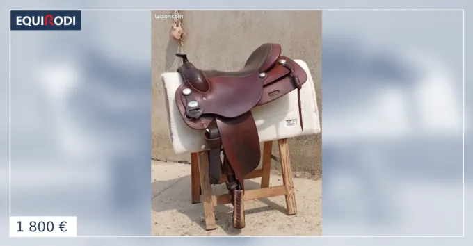 Selle deuber& partner Nouvelle Collection