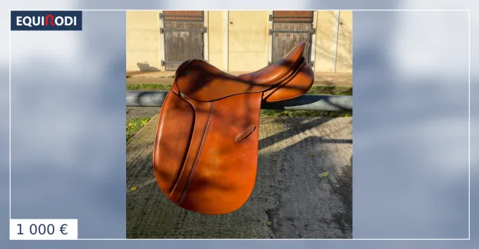 Nouvel Arrivage RARE Selle dressage/quitation de travail Stubben