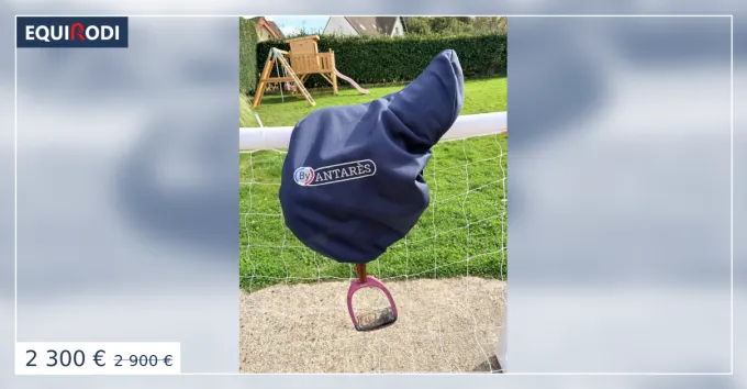 Selle obstacle - Signature by Antares Acheter Direct