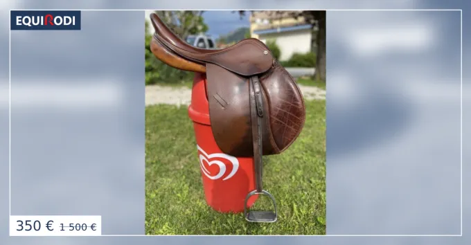 Livraison Gratuite Selle anglaise cuir Terry's Quality Saddlery