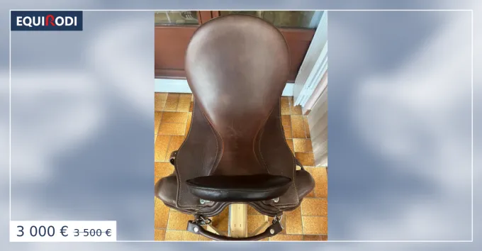 Offre Limite Selle Herve Maurel