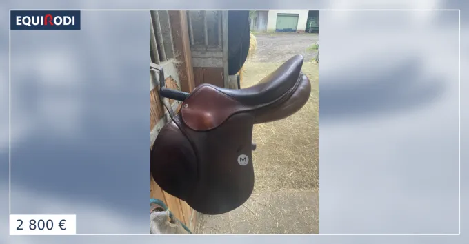 Populaire Selle Meyer en bon tat