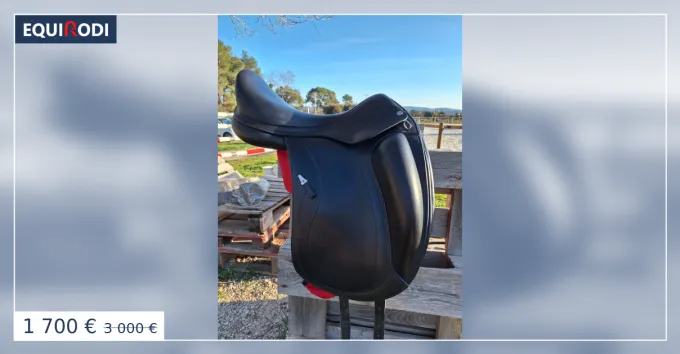 Paiement Scuris Selle dressage equipe olympia