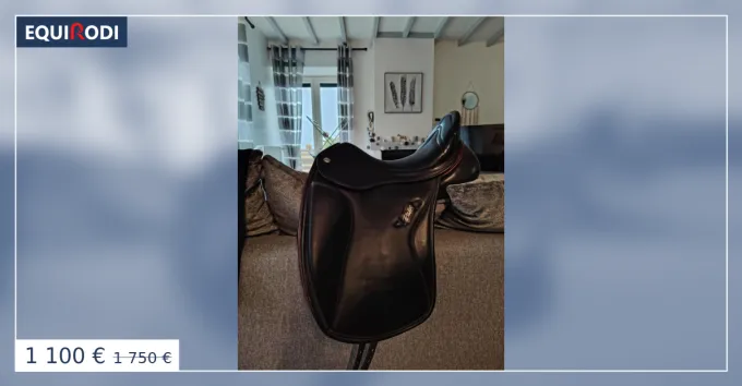 Selle dressage zaldi passage 17 Usine Directe