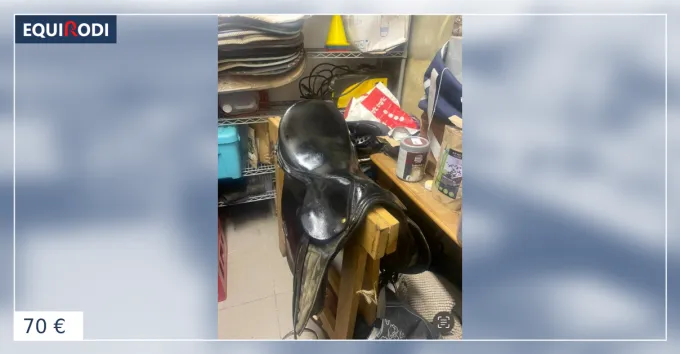 Selle a vendre urgemment faire offre Affaire Saisir