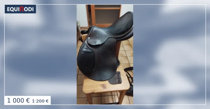 Selle Herv godignon jump'in 17,5 Dernire Chance
