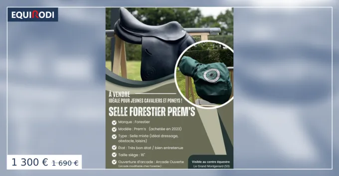 Prix Cass SELLE FORESTIER PREM'S - Enfant