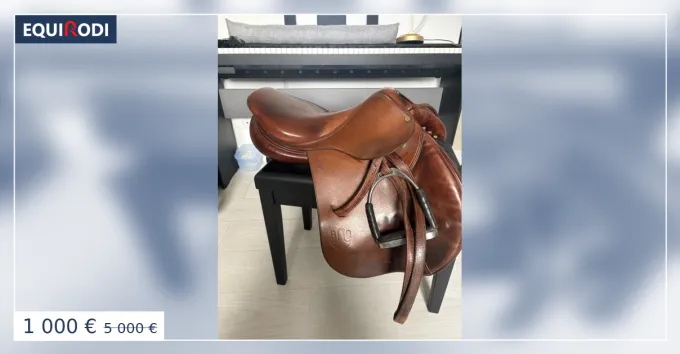 Petit Prix Selle Bruno Delgrange